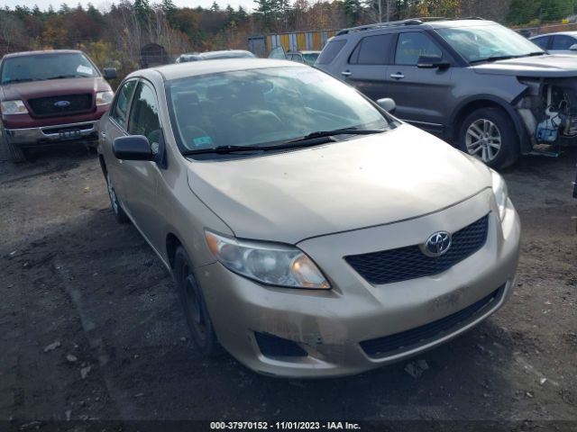 TOYOTA COROLLA 2010 1nxbu4ee1az313556