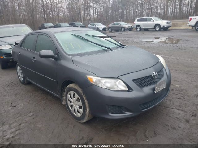 TOYOTA COROLLA 2010 1nxbu4ee1az318661