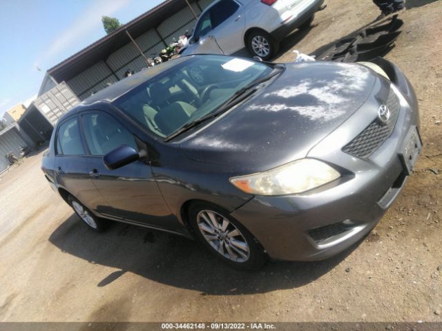 TOYOTA COROLLA 2010 1nxbu4ee2az179575