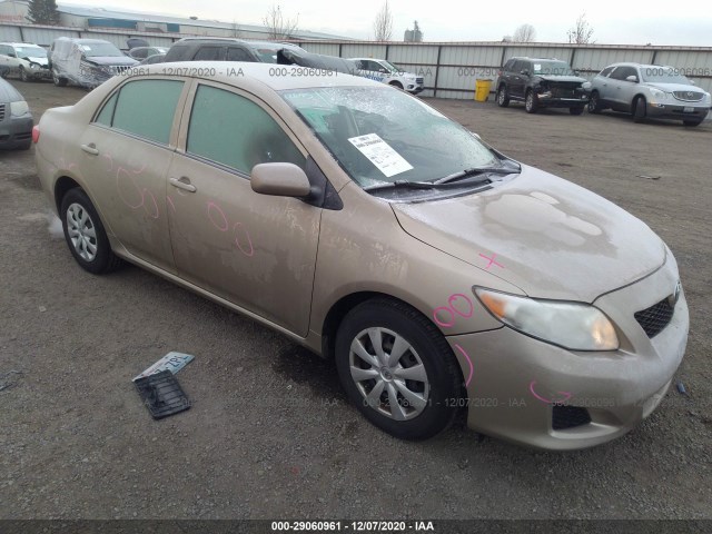 TOYOTA COROLLA 2010 1nxbu4ee2az239595