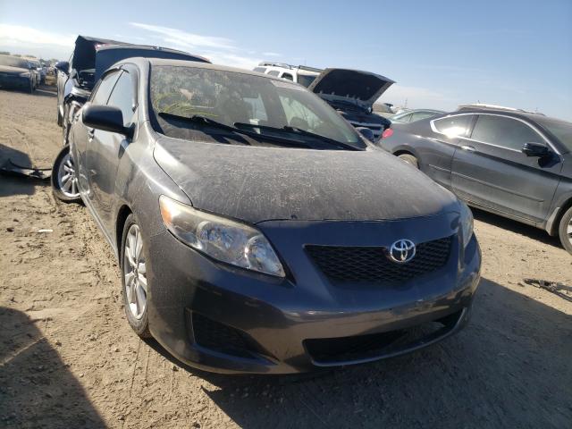 TOYOTA COROLLA 2010 1nxbu4ee2az341009