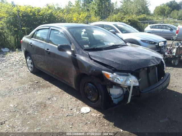 TOYOTA COROLLA 2010 1nxbu4ee4az342145