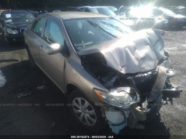 TOYOTA COROLLA 2010 1nxbu4ee6az186979