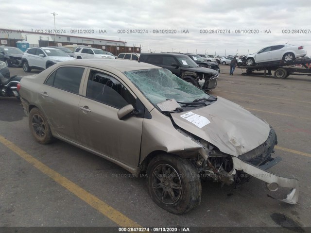 TOYOTA COROLLA 2010 1nxbu4ee6az252494