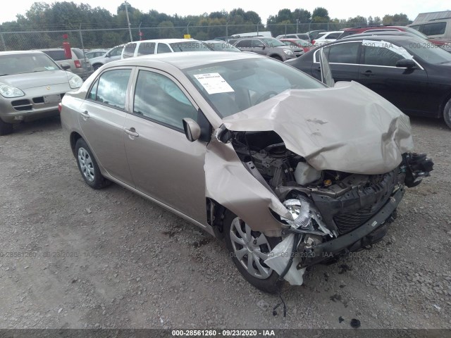 TOYOTA COROLLA 2010 1nxbu4ee7az181824