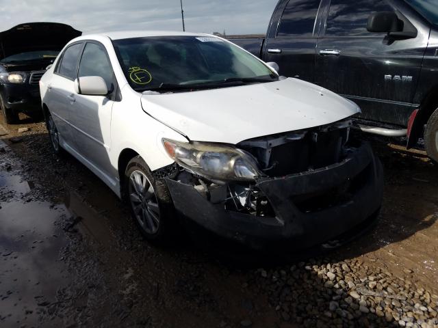 TOYOTA COROLLA BA 2010 1nxbu4ee8az236457