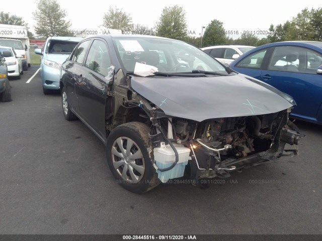 TOYOTA COROLLA 2010 1nxbu4ee8az342813