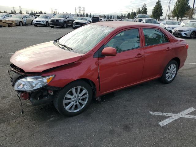 TOYOTA COROLLA 2010 1nxbu4ee9az171201