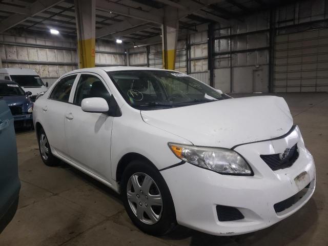 TOYOTA COROLLA LE 2010 1nxbu4ee9az181176