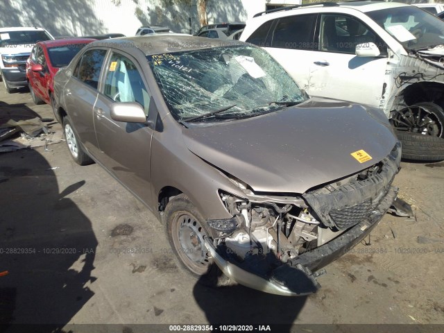 TOYOTA COROLLA 2010 1nxbu4ee9az190685