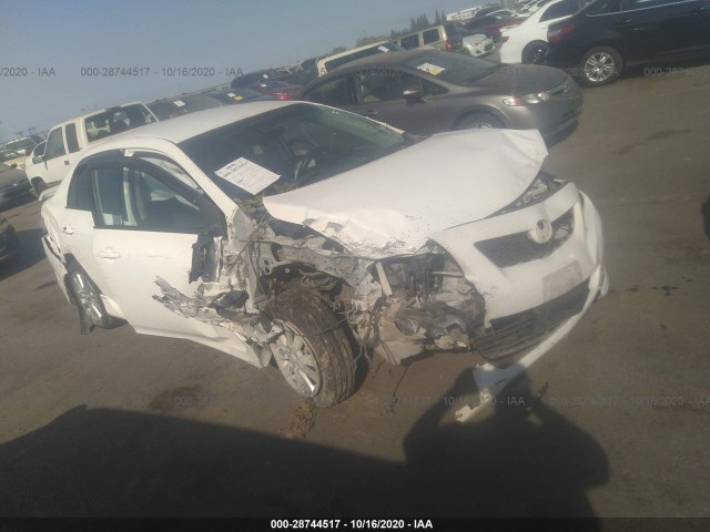 TOYOTA COROLLA 2010 1nxbu4ee9az303535