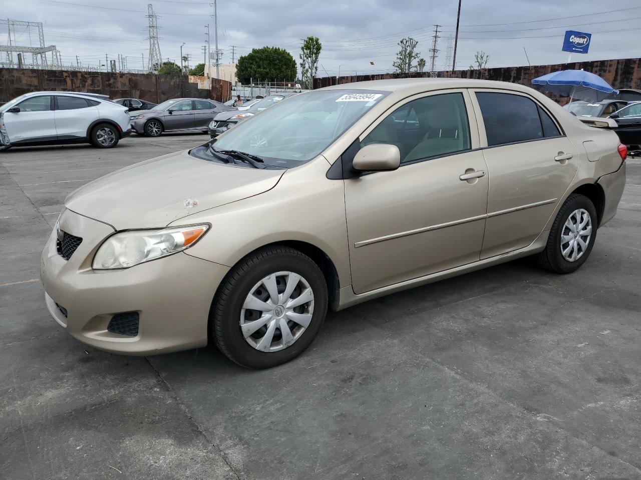 TOYOTA COROLLA 2010 1nxbu4ee9az325700