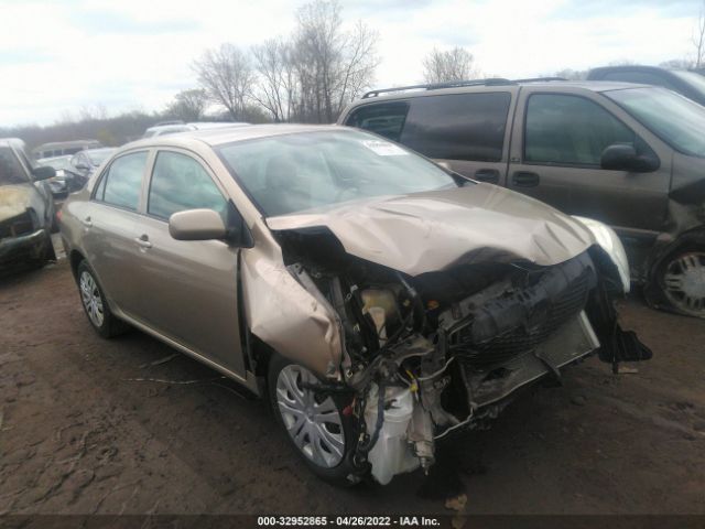 TOYOTA COROLLA 2010 1nxbu4ee9az328421