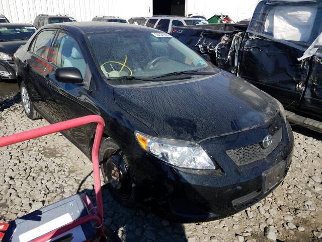 TOYOTA COROLLA 2010 1nxbu4eexaz175709