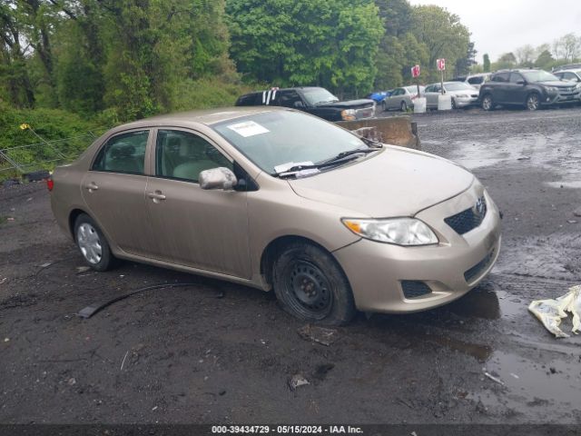 TOYOTA COROLLA 2010 1nxbu4eexaz207431