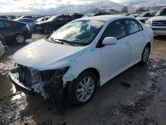 TOYOTA COROLLA 2010 1nxbu4eexaz227775