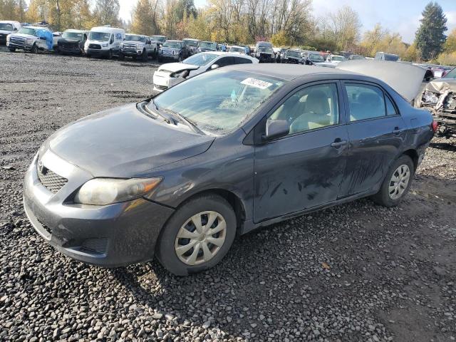 TOYOTA COROLLA BA 2010 1nxbu4eexaz228652