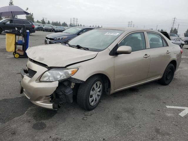 TOYOTA COROLLA 2010 1nxbu4eexaz251459