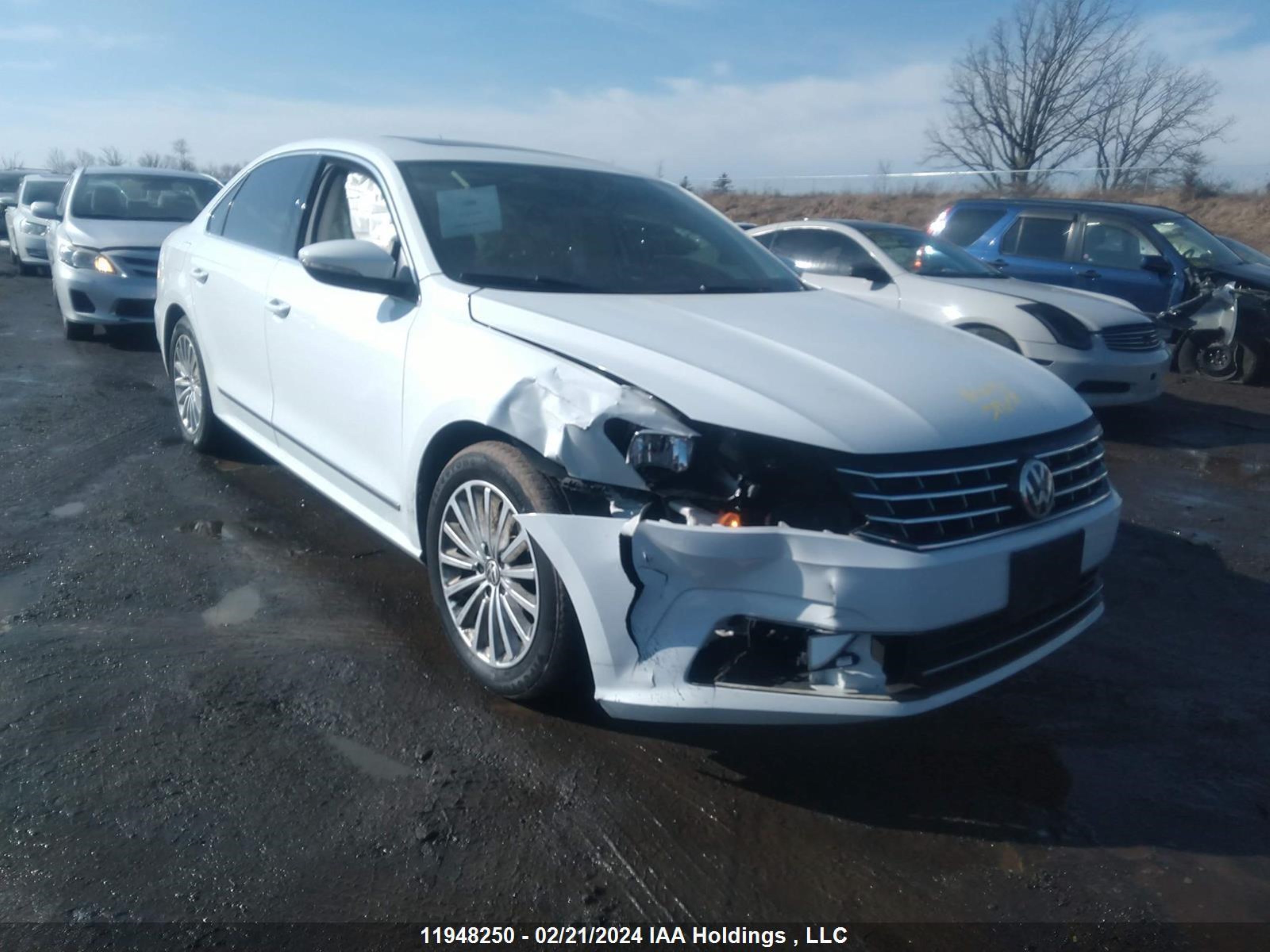 VOLKSWAGEN PASSAT 2016 1vwbs7a37gc034348