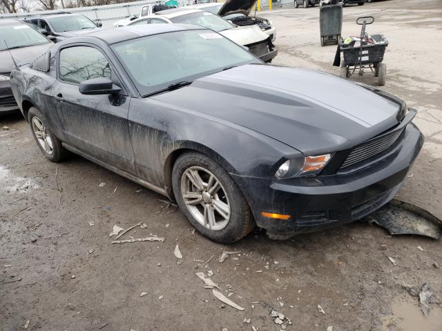 FORD MUSTANG 2011 1zvbp8am0b5105421