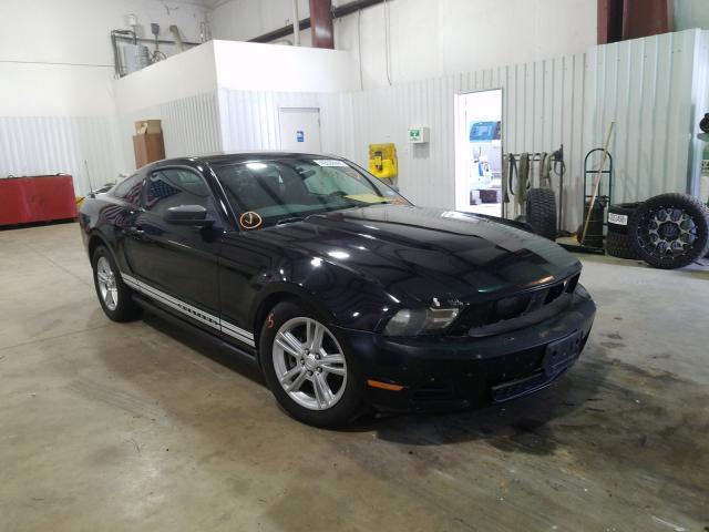 FORD MUSTANG 2011 1zvbp8am0b5105497