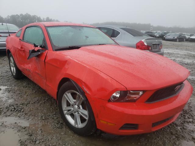 FORD MUSTANG 2011 1zvbp8am0b5106102