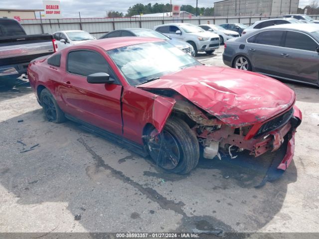 FORD MUSTANG 2011 1zvbp8am0b5111414