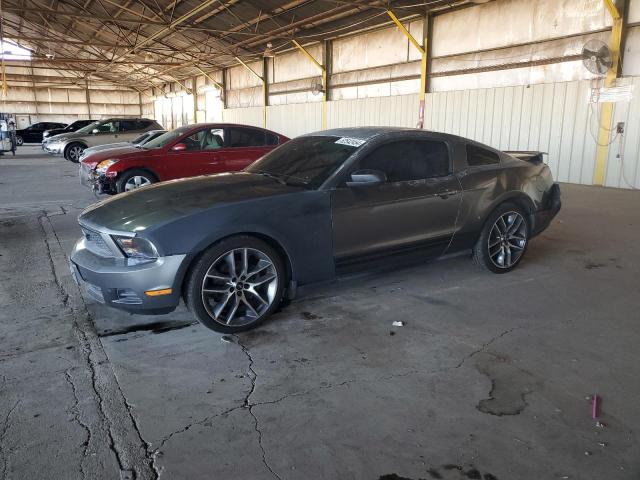 FORD MUSTANG 2011 1zvbp8am0b5111560