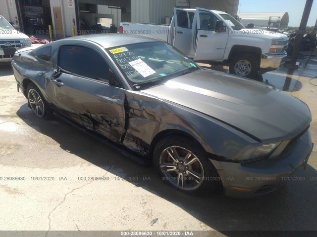 FORD MUSTANG 2011 1zvbp8am0b5111705