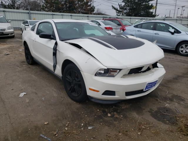 FORD MUSTANG 2011 1zvbp8am0b5112823