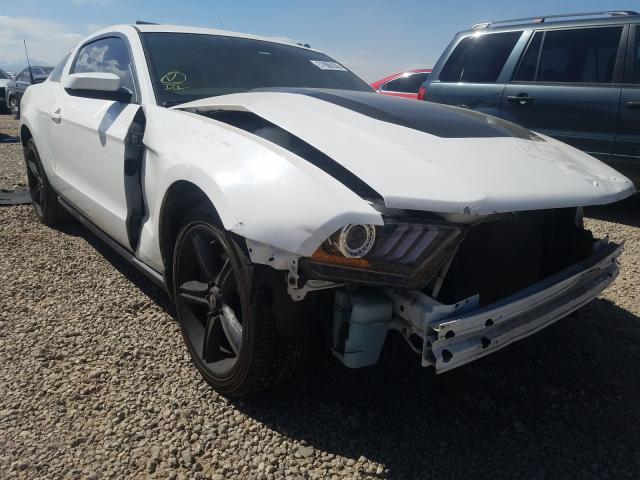 FORD MUSTANG 2011 1zvbp8am0b5117228