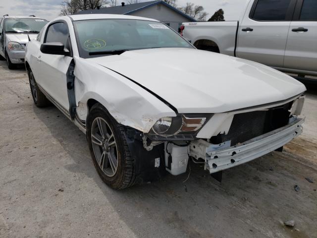 FORD MUSTANG 2011 1zvbp8am0b5119805