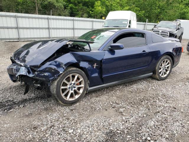 FORD MUSTANG 2011 1zvbp8am0b5124227