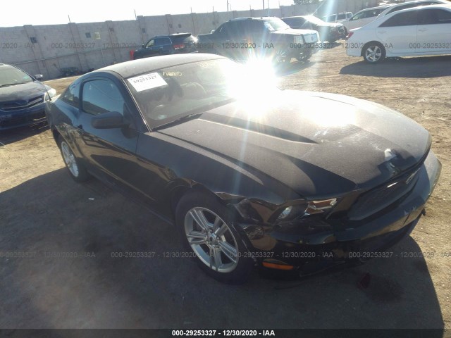 FORD MUSTANG 2011 1zvbp8am0b5126009