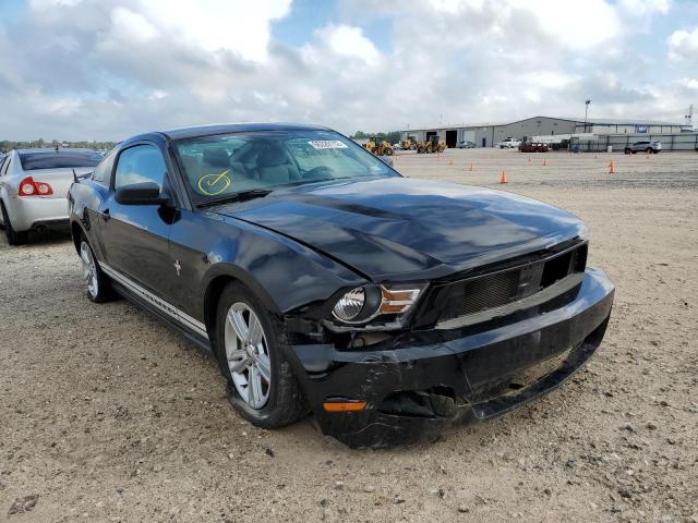 FORD MUSTANG 2011 1zvbp8am0b5133719