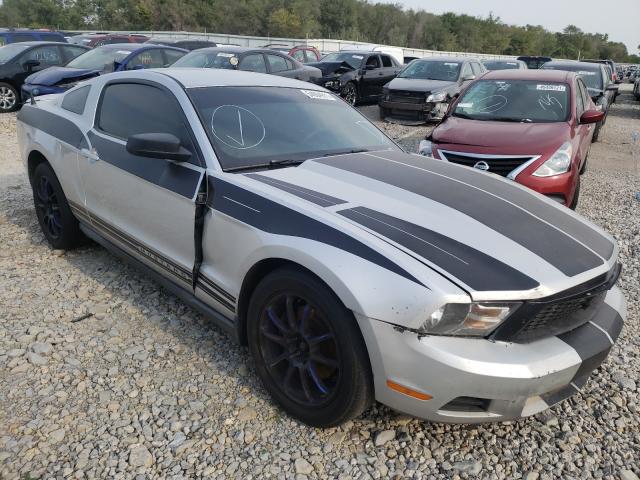 FORD MUSTANG 2011 1zvbp8am0b5135552