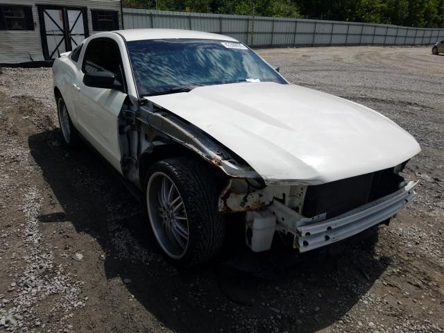 FORD MUSTANG 2011 1zvbp8am0b5136295