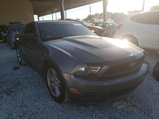 FORD MUSTANG 2011 1zvbp8am0b5141013