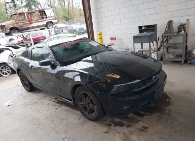 FORD MUSTANG 2011 1zvbp8am0b5142338