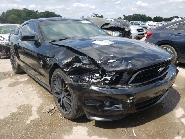 FORD MUSTANG 2011 1zvbp8am0b5145871