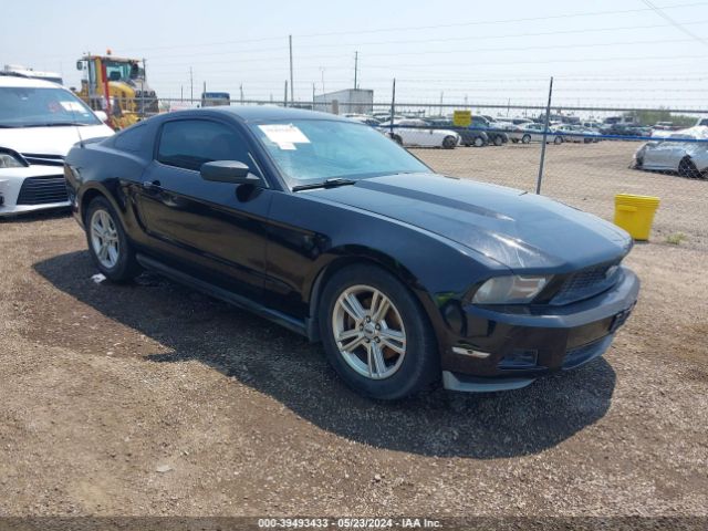 FORD MUSTANG 2011 1zvbp8am0b5146356