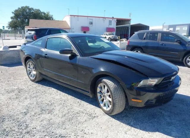 FORD MUSTANG 2011 1zvbp8am0b5151346