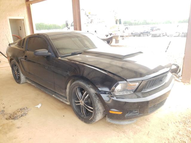 FORD MUSTANG 2011 1zvbp8am0b5153663