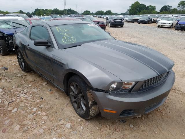 FORD MUSTANG 2011 1zvbp8am0b5155624