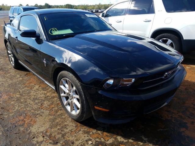 FORD MUSTANG 2011 1zvbp8am0b5156983