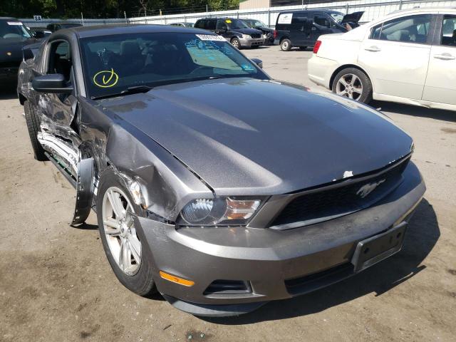 FORD MUSTANG 2011 1zvbp8am0b5158040