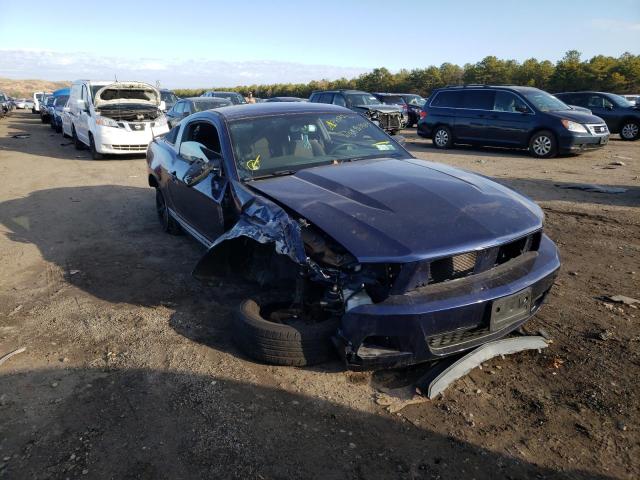 FORD MUSTANG 2011 1zvbp8am0b5163903