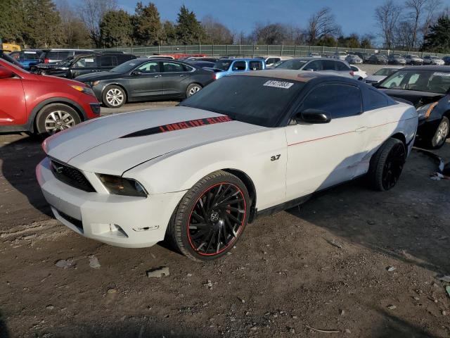 FORD MUSTANG 2011 1zvbp8am0b5164081