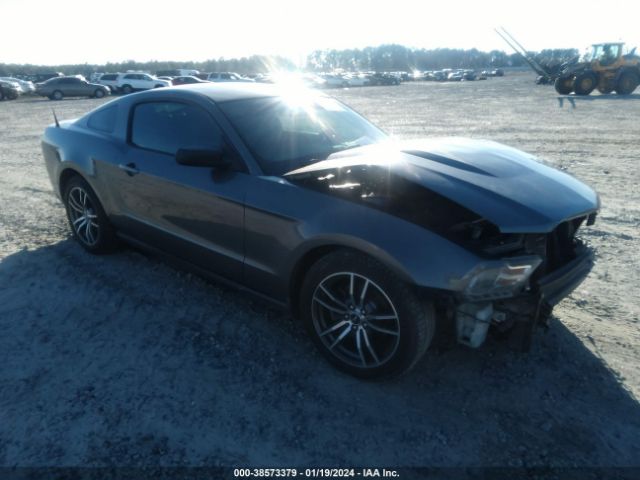 FORD MUSTANG 2011 1zvbp8am0b5166283