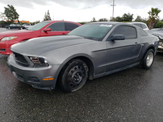 FORD MUSTANG 2011 1zvbp8am0b5170060